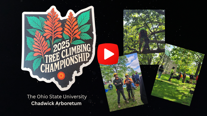 Slideshow cover